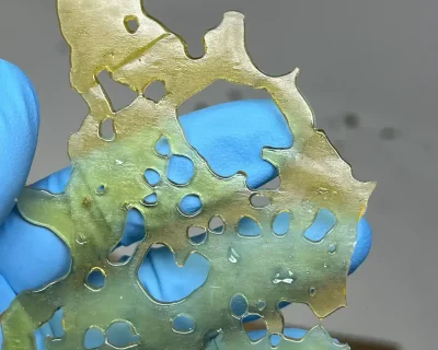 PREMIUM SHATTER - Image 4